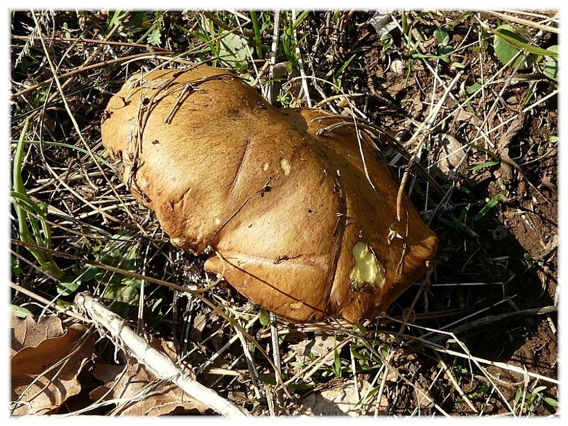I colori dell''autunno...
